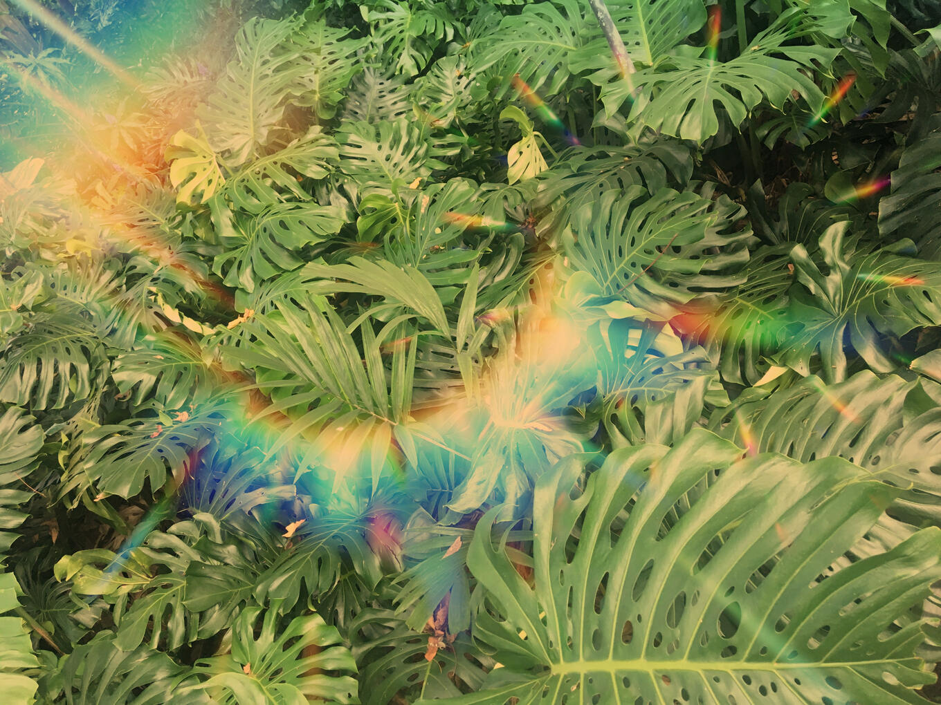 Greengasm || 2019 || by Nate DeWaele