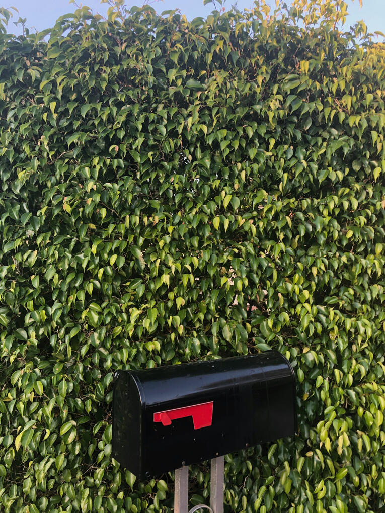 Mailbox || 2018